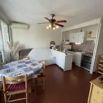 Apartament T3 Climatise, 6 Pers, Proche Et Commerces, Parking Prive, Animaux Admis - Fr-1-106-104