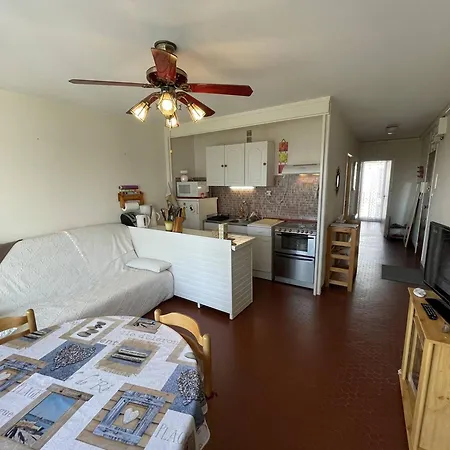 T3 Climatisé, 6 Pers, Proche Et Commerces, Parking Privé, Animaux Admis - Fr-1-106-104 Appartement *