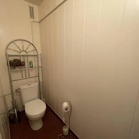 Apartmán T3 Climatise, 6 Pers, Proche Et Commerces, Parking Prive, Animaux Admis - Fr-1-106-104 *