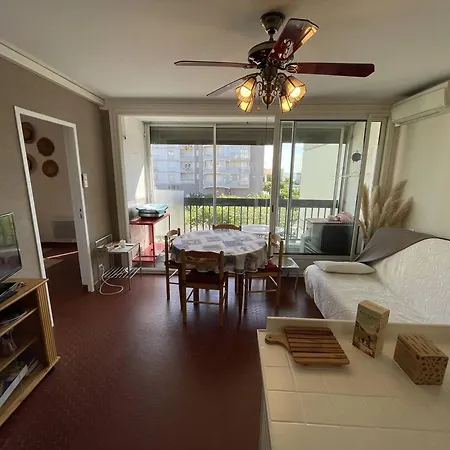 T3 Climatisé, 6 Pers, Proche Et Commerces, Parking Privé, Animaux Admis - Fr-1-106-104 Appartement