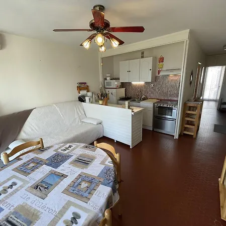 Apartment T3 Climatise, 6 Pers, Proche Et Commerces, Parking Prive, Animaux Admis - Fr-1-106-104 Saint-Cyprien (Pyrenees-Orientales)