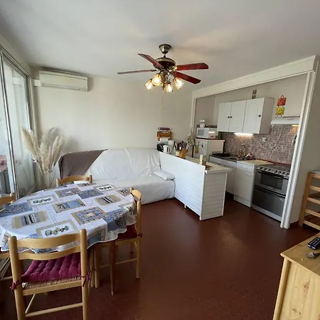 Apartment T3 Climatise, 6 Pers, Proche Et Commerces, Parking Prive, Animaux Admis - Fr-1-106-104