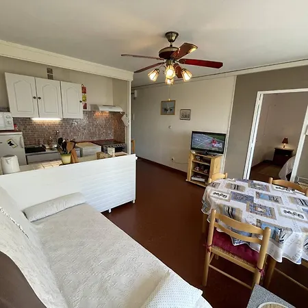 T3 Climatise, 6 Pers, Proche Et Commerces, Parking Prive, Animaux Admis - Fr-1-106-104 Apartment Saint-Cyprien (Pyrenees-Orientales)
