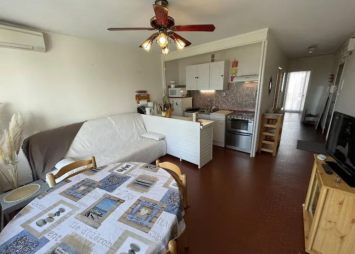 Daire T3 Climatise, 6 Pers, Proche Et Commerces, Parking Prive, Animaux Admis - Fr-1-106-104 Saint-Cyprien (Pyrenees-Orientales)