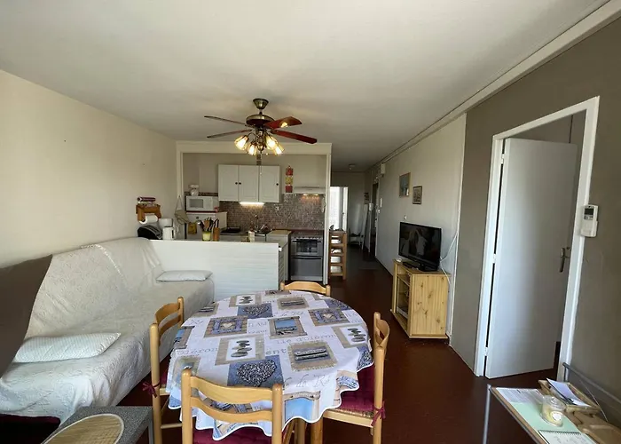 Daire T3 Climatise, 6 Pers, Proche Et Commerces, Parking Prive, Animaux Admis - Fr-1-106-104 *