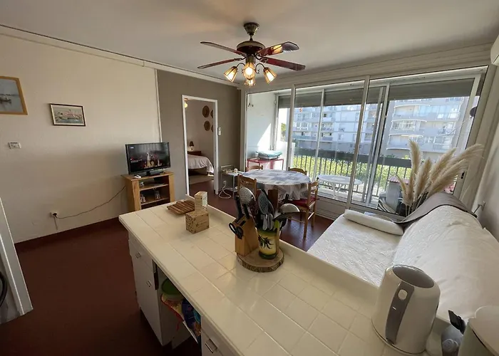 T3 Climatise, 6 Pers, Proche Et Commerces, Parking Prive, Animaux Admis - Fr-1-106-104 Saint-Cyprien (Pyrenees-Orientales)