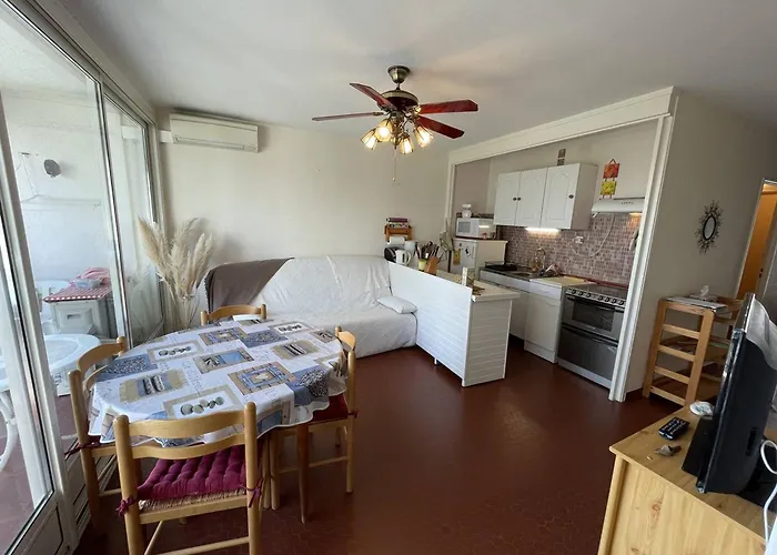 Daire T3 Climatise, 6 Pers, Proche Et Commerces, Parking Prive, Animaux Admis - Fr-1-106-104
