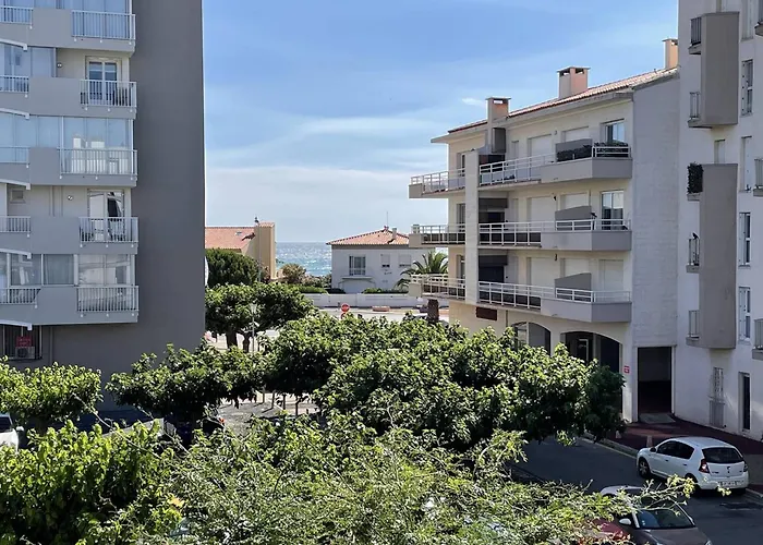 T3 Climatise, 6 Pers, Proche Et Commerces, Parking Prive, Animaux Admis - Fr-1-106-104 * Saint-Cyprien (Pyrenees-Orientales)